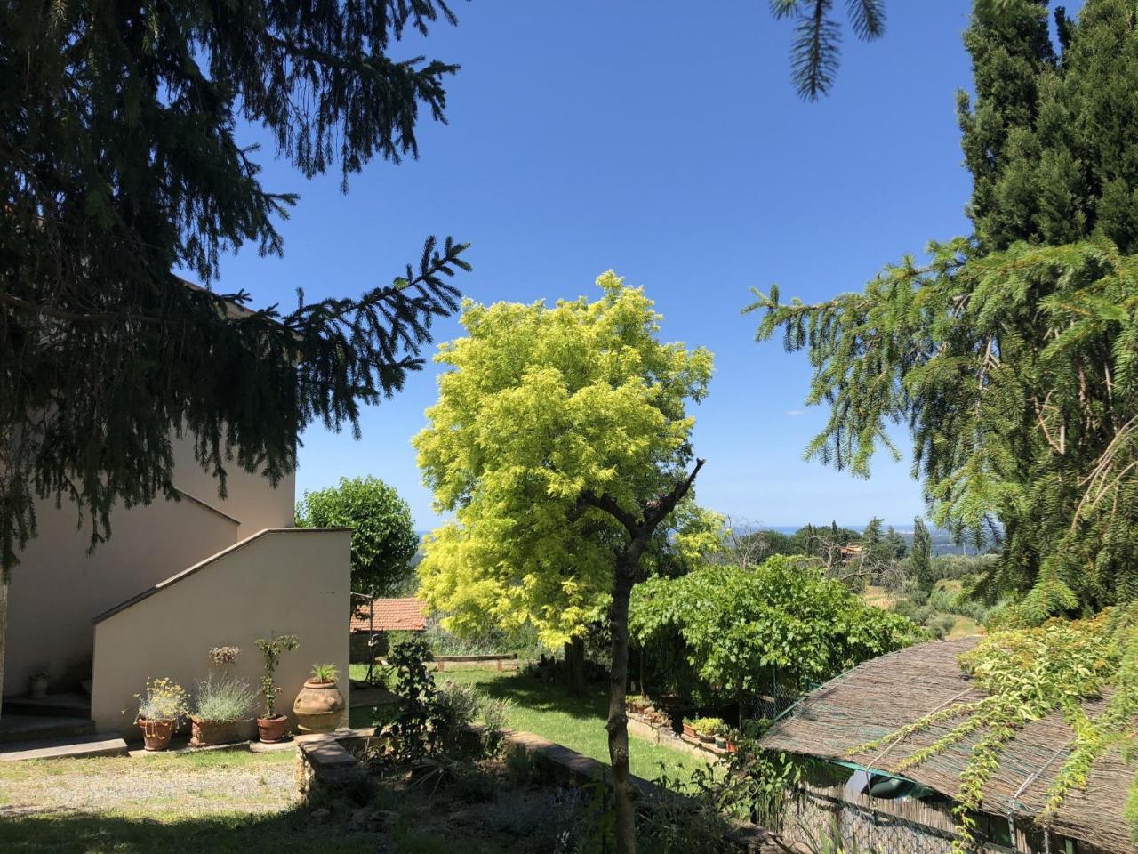 Haus Malerin - Meerblick, Umzaeunter Garten By Toscanatour Guardistallo Exteriör bild